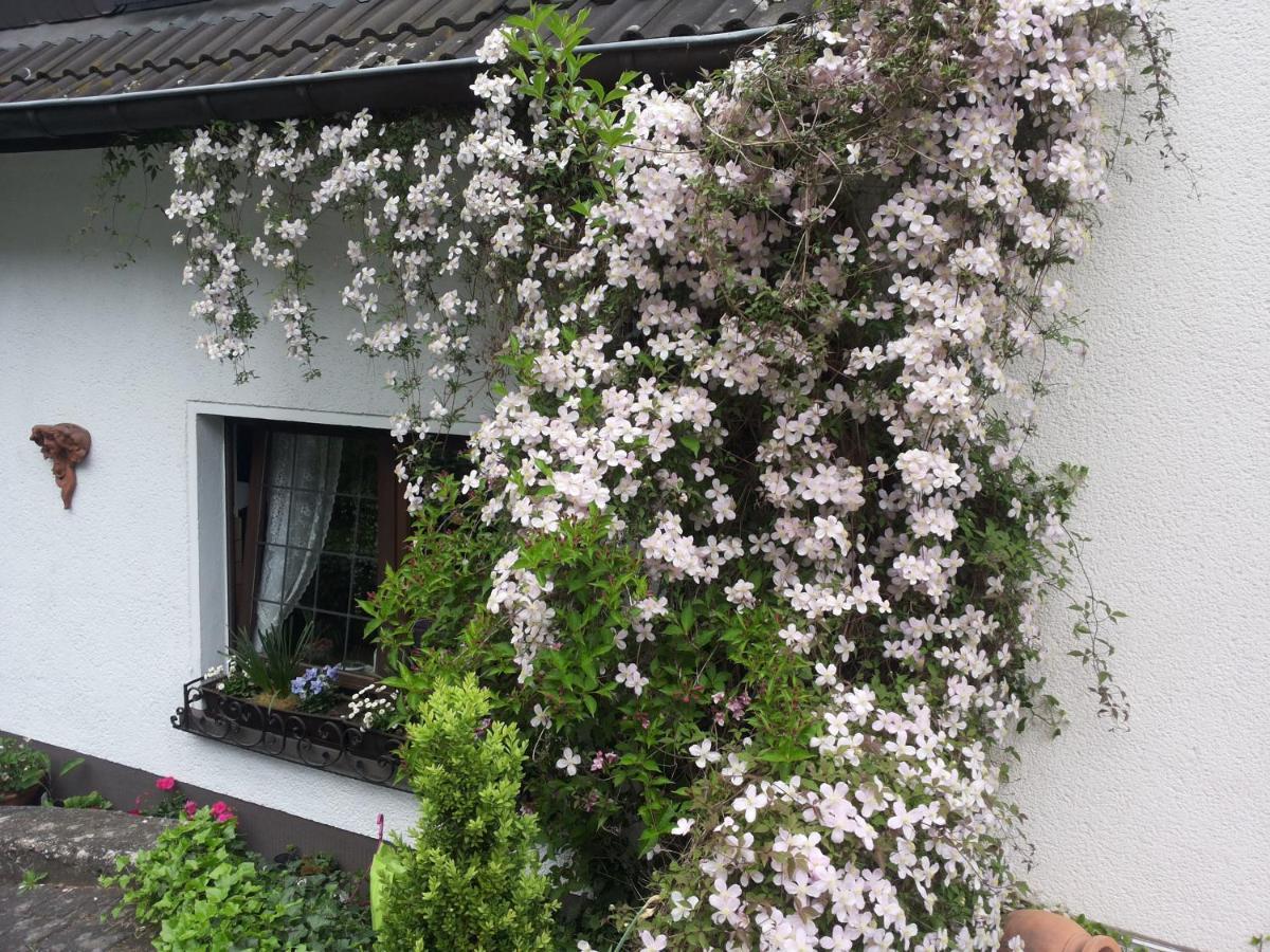 Gaestezimmer Am Huestert Adenau Luaran gambar